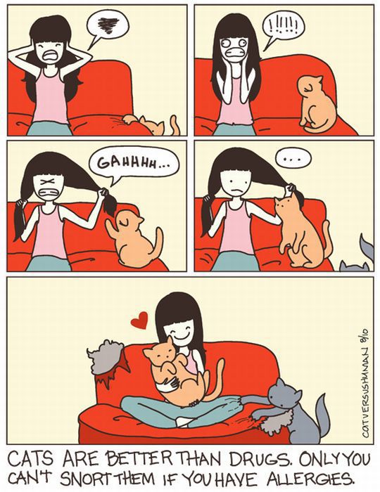 Hilarious Comics with Cats