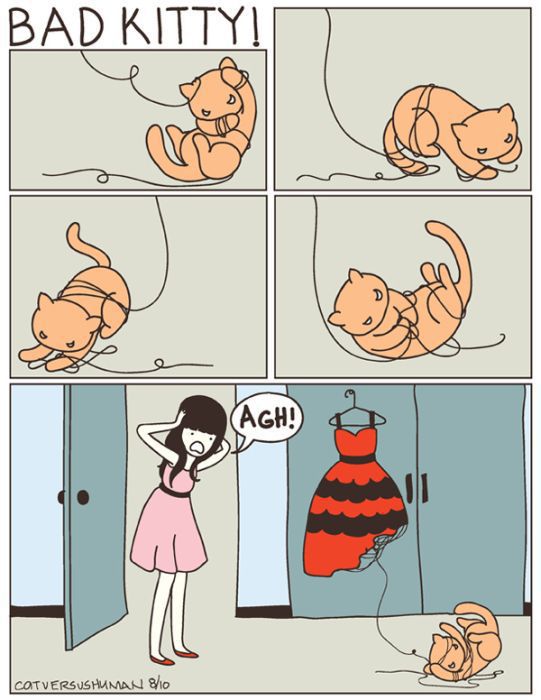 Hilarious Comics with Cats