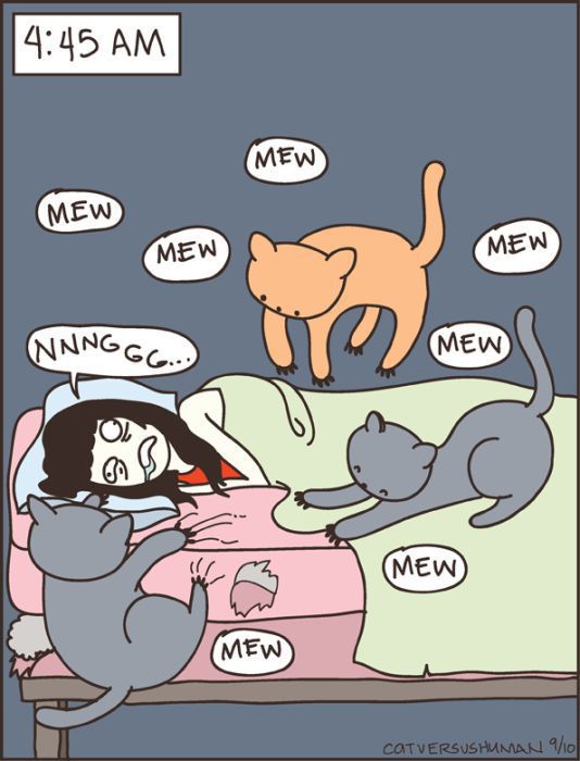 Hilarious Comics with Cats