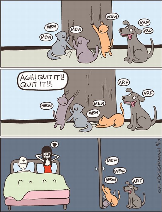 Hilarious Comics with Cats