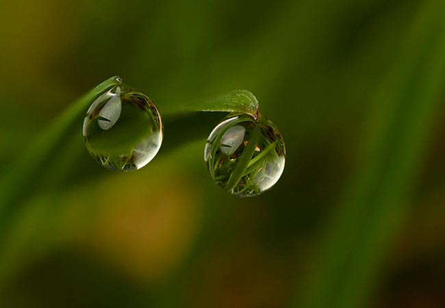 Beauty of the World in the Smallest Water Drops