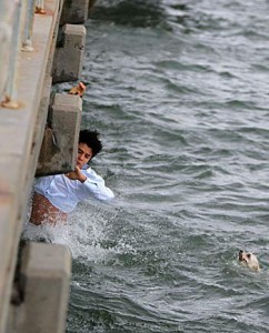 This guy went in the water to rescue the dog.