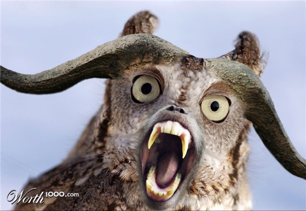 Crazy Animals Gallery EBaum s World