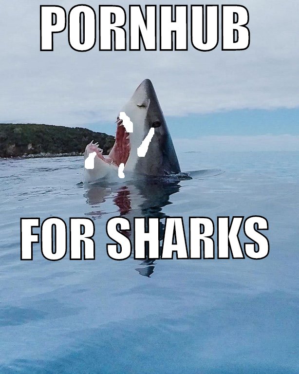 Teen shark gets destroyed by BBC