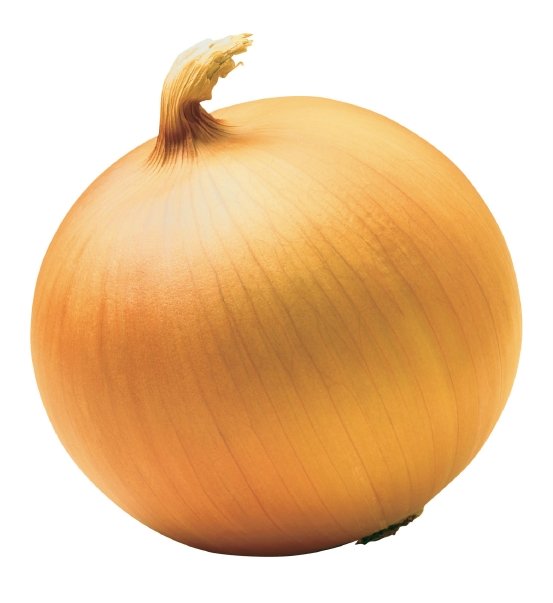 How I would look if I was an onion