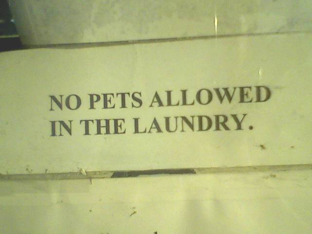 I saw this sign at the laundry mat and found it rather odd.