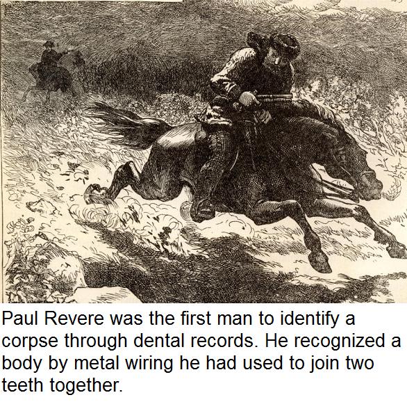 rides of paul revere and william dawes - Casas Paul Revere was the first man to identify a corpse through dental records. He recognized a body by metal wiring he had used to join two teeth together.