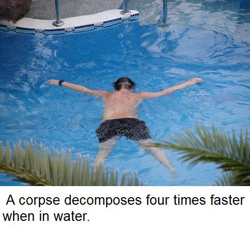 leisure - A corpse decomposes four times faster when in water.