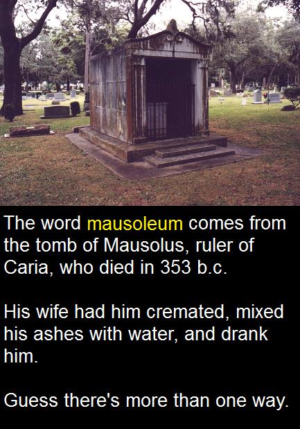 palm cemetery winter park - The word mausoleum comes from the tomb of Mausolus, ruler of Caria, who died in 353 b.c. His wife had him cremated, mixed his ashes with water, and drank him. Guess there's more than one way.