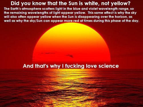 children of the sun - Did you know that the Sun is white, not yellow? The Earth's atmosphere scatters light in the blue and violet wavelength range, so the remaining wavelengths of light appear yellow. This same effect is why the sky will also often appea