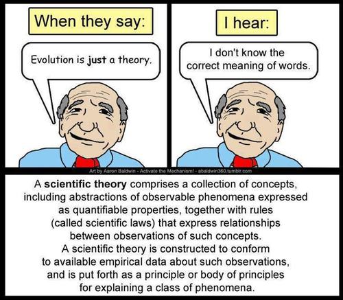 Scientific theory - When they say I hear Evolution is just a theory. I don't know the correct meaning of words. No Art by Aaron Baldwin Activate the Mechandamabaldwin360.tumblr.com A scientific theory comprises a collection of concepts including abstracti
