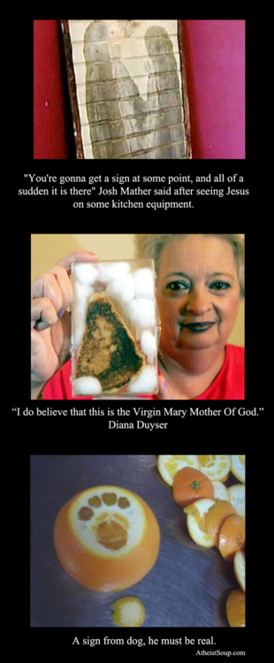 virgin mary grilled cheese - "You're gonna get a sign at some point, and all of a sudden it is there" Josh Mather said after seeing Jesus on some kitchen equipment. "I do believe that this is the Virgin Mary Mother Of God." Diana Duyser A sign from dog, h