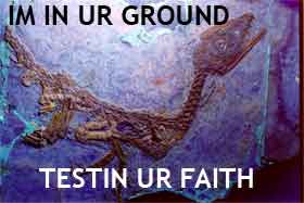 dinosaur fossils - Im In Ur Ground Testin Ur Faith