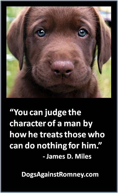 puppies with blue eyes - You can judge the character of a man by how he treats those who can do nothing for him. James D. Miles DogsAgainstRomney.com