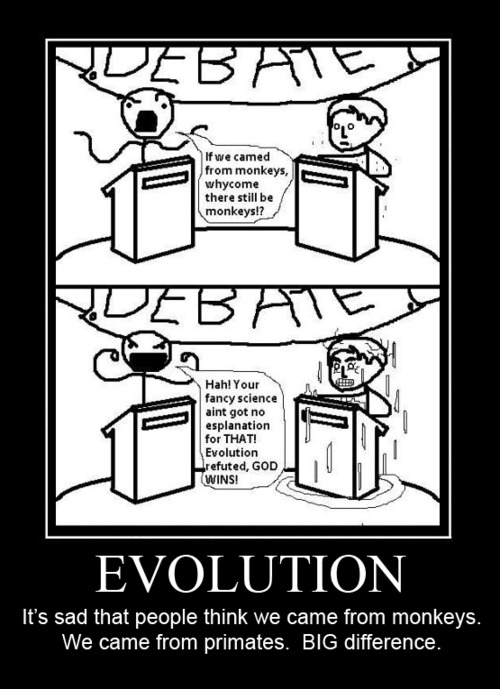 cartoon - Ndebate If we camed from monkeys, whycome there still be monkeys!? Bate Hah! Your fancy science aint got no esplanation for That! Evolution refuted, God Wins! Evolution It's sad that people think we came from monkeys. We came from primates. Big 