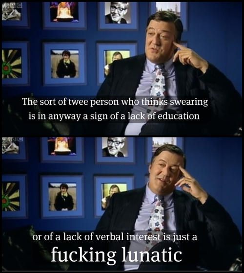 stephen fry swearing quote - The sort of twee person who thinks swearing is in anyway a sign of a lack of education or of a lack of verbal interest is just a fucking lunatic