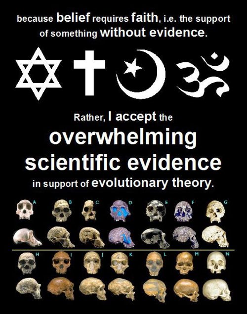 don t believe in evolution - because belief requires faith, i.e. the support of something without evidence. Rather, I accept the overwhelming scientific evidence in support of evolutionary theory.