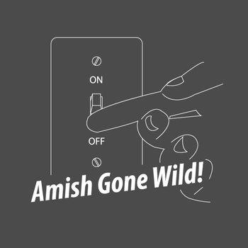 english grammar workbook for dummies - Amish Gone Wild!