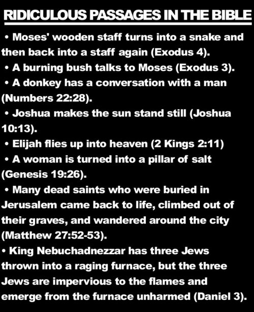 ridiculous rules in the bible - Ridiculous Passages In The Bible Moses' wooden staff turns into a snake and then back into a staff again Exodus 4. A burning bush talks to Moses Exodus 3. A donkey has a conversation with a man Numbers . Joshua makes the su