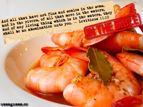 shrimp intestine - And all that have not fine and scales in the seas, and in the rivera, of all that move in the waters, and of any living thing which is in the waters, they shall be an abomination unto you. Leviticus 11.10 The Bible unnagunna.co
