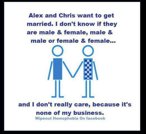 cristolandia - Alex and Chris want to get married. I don't know if they are male & female, male & male or female & female... and I don't really care, because it's none of my business. Wipeout Homophobia On facebook