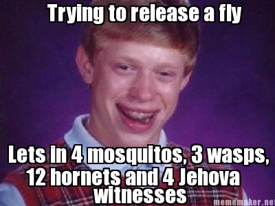 st. james's gate brewery - Trying to release a fly Lets in 4mosquitos, 3 wasps, 12 hornets and 4 Jehova witnesses mememaker.net