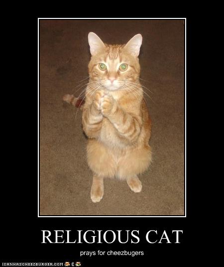 good evening funny - Religious Cat prays for cheezbugers Icanhascheezburger.Com