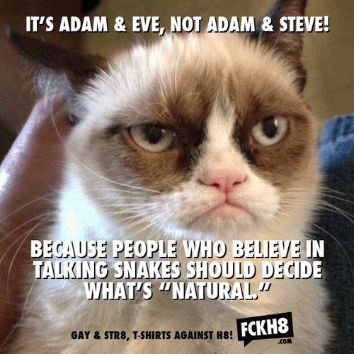 grumpy cat people meme - It'S Adam & Eve, Not Adam & Steve! Because People Who Believe In Talking Snakes Should Decide What'S "Natural. Gay & STR8, TShirts Against H8! Irts Against Hl FCKH8 .Com