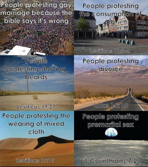 bible shit - People protesting gay. People protesting marriage because the the consumption of bible says it's wrong pig. Tigane People protesting shaving beards Leviticus 8 People protesting divorce Leviticus People protesting the wearing of mixed cloth L