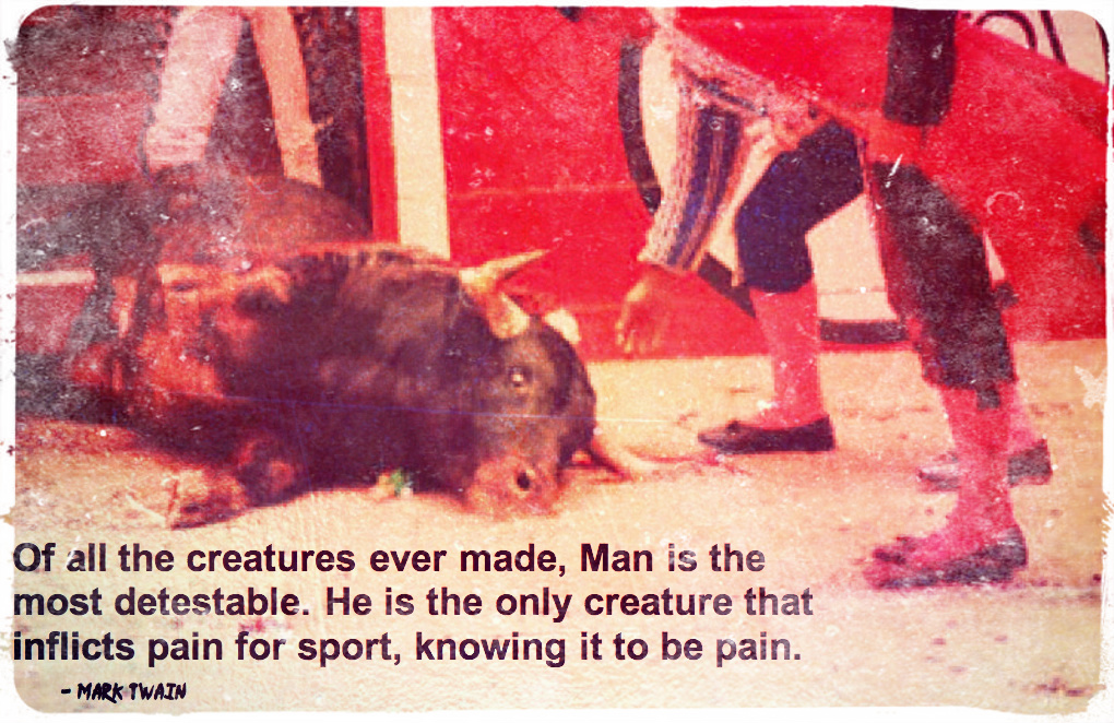 Bullfighting - Of all the creatures ever made, Man is the most detestable. He is the only creature that inflicts pain for sport, knowing it to be pain. Mark Twain