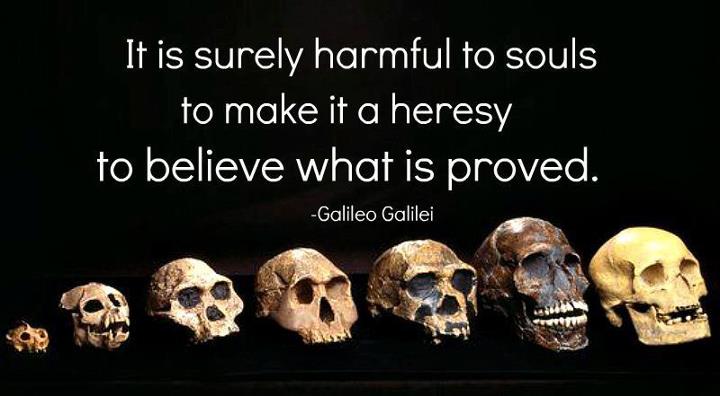 human evolution skulls - It is surely harmful to souls to make it a heresy to believe what is proved. Galileo Galilei
