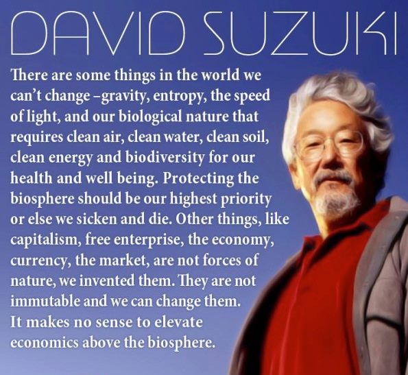 david suzuki - David Suzuki There are some things in the world we can't change gravity, entropy, the speed of light, and our biological nature that requires clean air, clean water, clean soil, clean energy and biodiversity for our health and well being. P