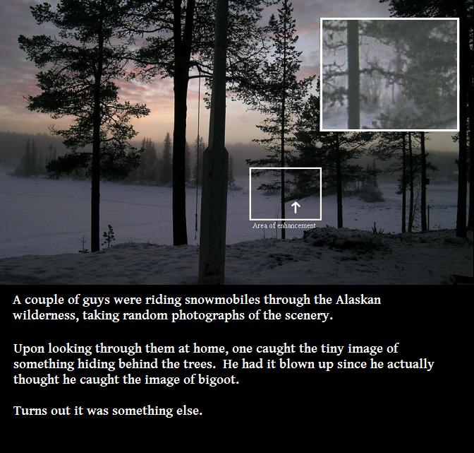 tree - Area of enhancement A couple of guys were riding snowmobiles through the Alaskan wilderness, taking random photographs of the scenery. Upon looking through them at home, one caught the tiny image of something hiding behind the trees. He had it blow