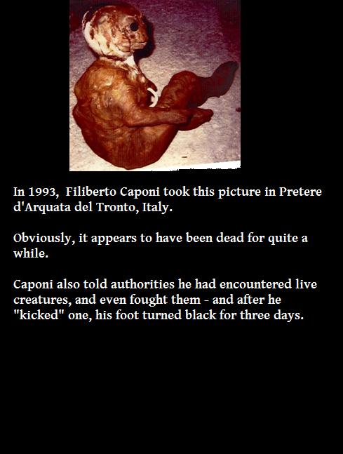 scary facts - In 1993, Filiberto Caponi took this picture in Pretere d'Arquata del Tronto, Italy. Obviously, it appears to have been dead for quite a while. Caponi also told authorities he had encountered live creatures, and even fought them and after he 