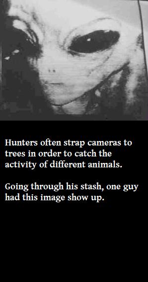 alien - Hunters often strap cameras to trees in order to catch the activity of different animals. Going through his stash, one guy had this image show up.