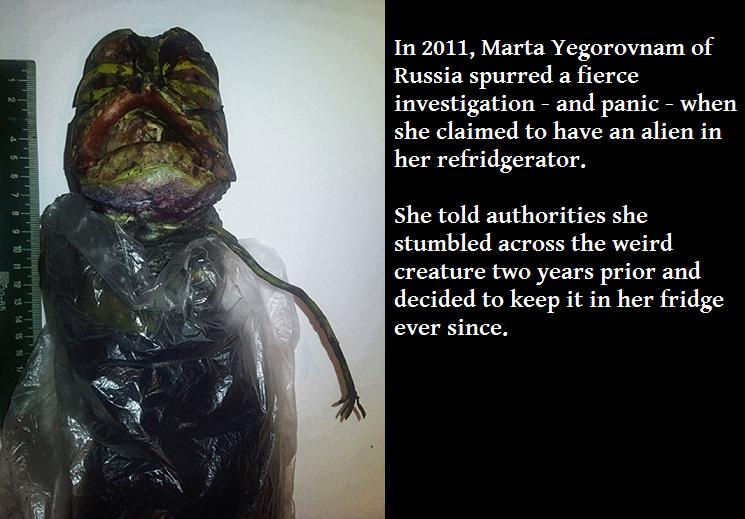 photo caption - In 2011, Marta Yegorovnam of Russia spurred a fierce investigation and panic when she claimed to have an alien in her refridgerator. She told authorities she stumbled across the weird creature two years prior and decided to keep it in her 