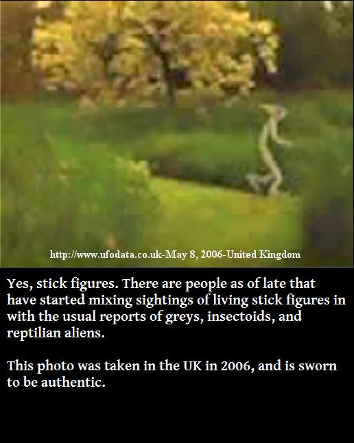 nature - 8, 2006United Kingdom Yes, stick figures. There are people as of late that have started mixing sightings of living stick figures in with the usual reports of greys, insectoids, and reptilian aliens. This photo was taken in the Uk in 2006, and is 