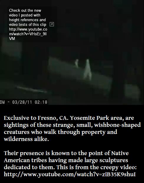 atmosphere - Check out the new video I posted with height references and video tests of this clip a mwatch?vVHsEr_911 Vm Dw 032811 Exclusive to Fresno, Ca. Yosemite Park area, are sightings of these strange, small, wishboneshaped creatures who walk throug