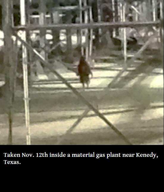 small humanoid creatures - Taken Nov. 12th inside a material gas plant near Kenedy, Texas.
