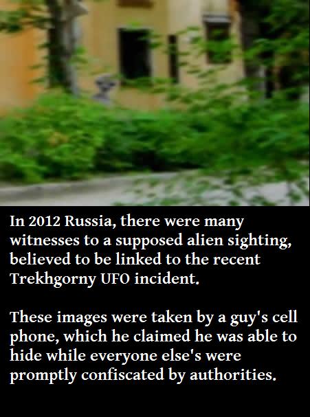 tree - In 2012 Russia, there were many witnesses to a supposed alien sighting, believed to be linked to the recent Trekhgorny Ufo incident. These images were taken by a guy's cell phone, which he claimed he was able to hide while everyone else's were prom
