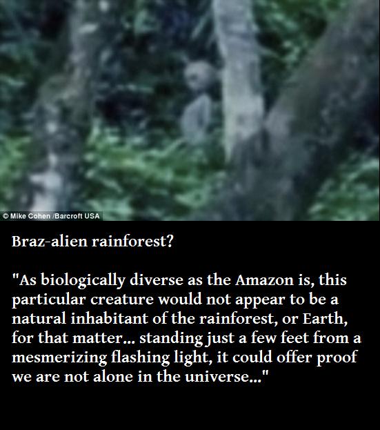 Mike Cohen Barcroft Usa Brazalien rainforest? ? "As biologically diverse as the Amazon is, this particular creature would not appear to be a natural inhabitant of the rainforest, or Earth, for that matter... standing just a few feet from a mesmerizing…