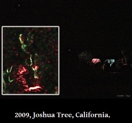 cseti alien - Mas 2009, Joshua Tree, California.
