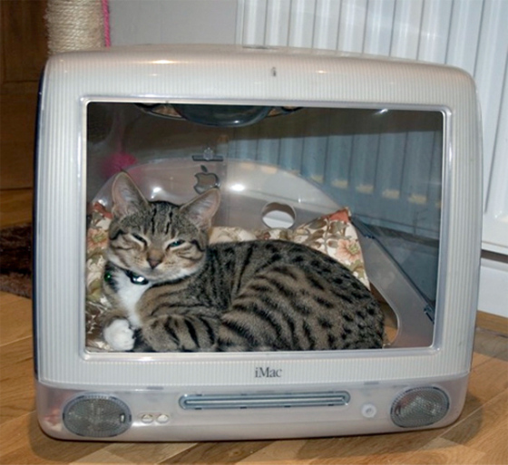 Cute Cat imac cat bed - iMac