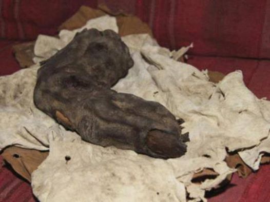 This mummified finger was part of ancient Egypt, but that's not so weird in itself - the fact that it's 15 inches long and belonged to someone over 16 feet tall - is.