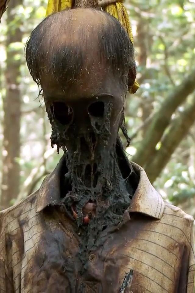 Suicide victim from Aokigahara forest.