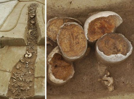 Artifacts and remains found from an ancient city within Germany known as "Hexelheim". It dates from over 7,000 years ago, and these items and bones show clear signs of flesh-stripping in preparation for cannibalism.
