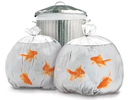 Ok, these swimming goldfish garbage bags are pretty cute. Unfortunately normal people don't display their trash.