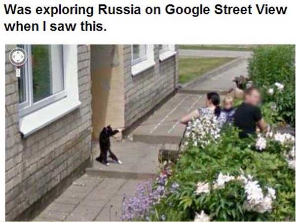 20 Funny Google Street Images