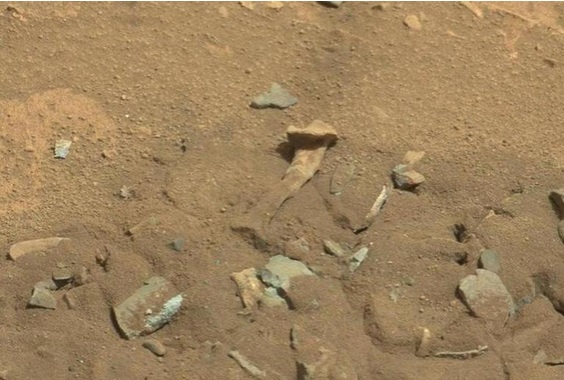 High-res photos coming back from the Mars Curiosity rover are fodder for all manner of UFOlogists and theory nuts. Here we have an image which is believed to show a human thigh bone on the surface.