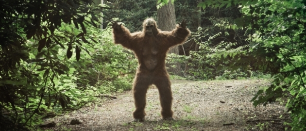 In case it truly exists, harassment of Bigfoot is an arrestable offense. (Washington)